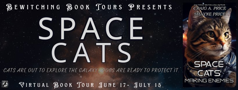 Space Cats: Making Enemies by Craig A. Price and Shayne Price