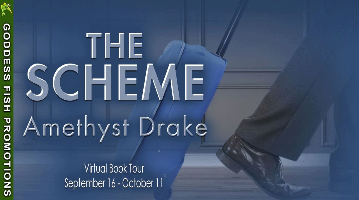 Author Guest Post with Amethyst Drake: The Scheme